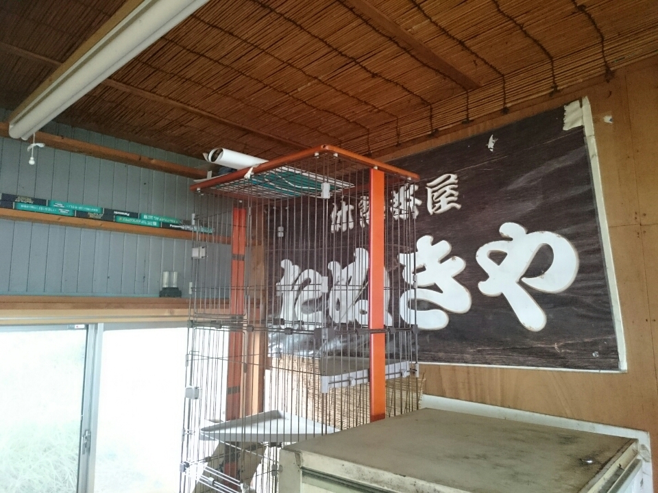 o0960072013746281791