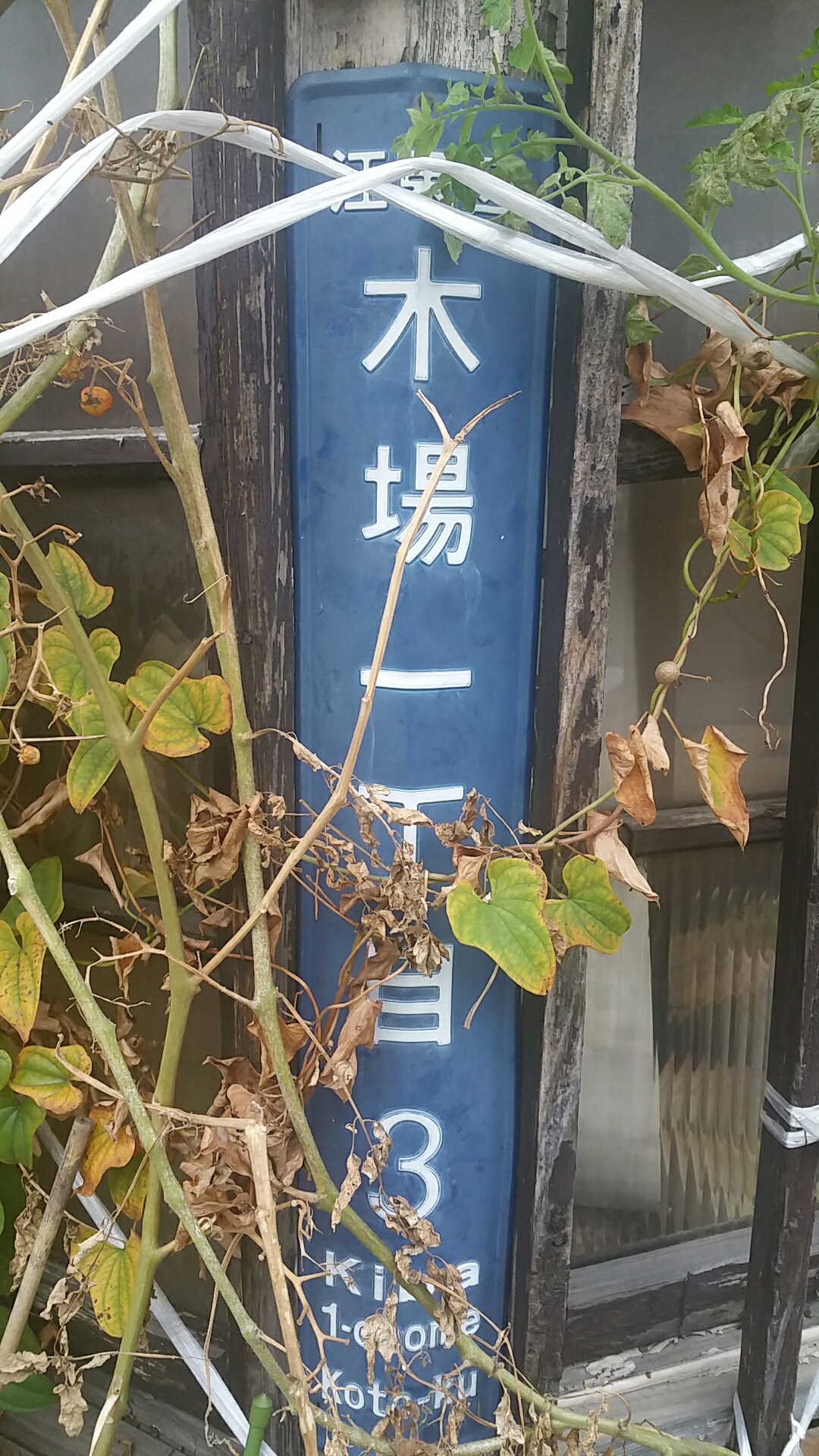 1477118822365
