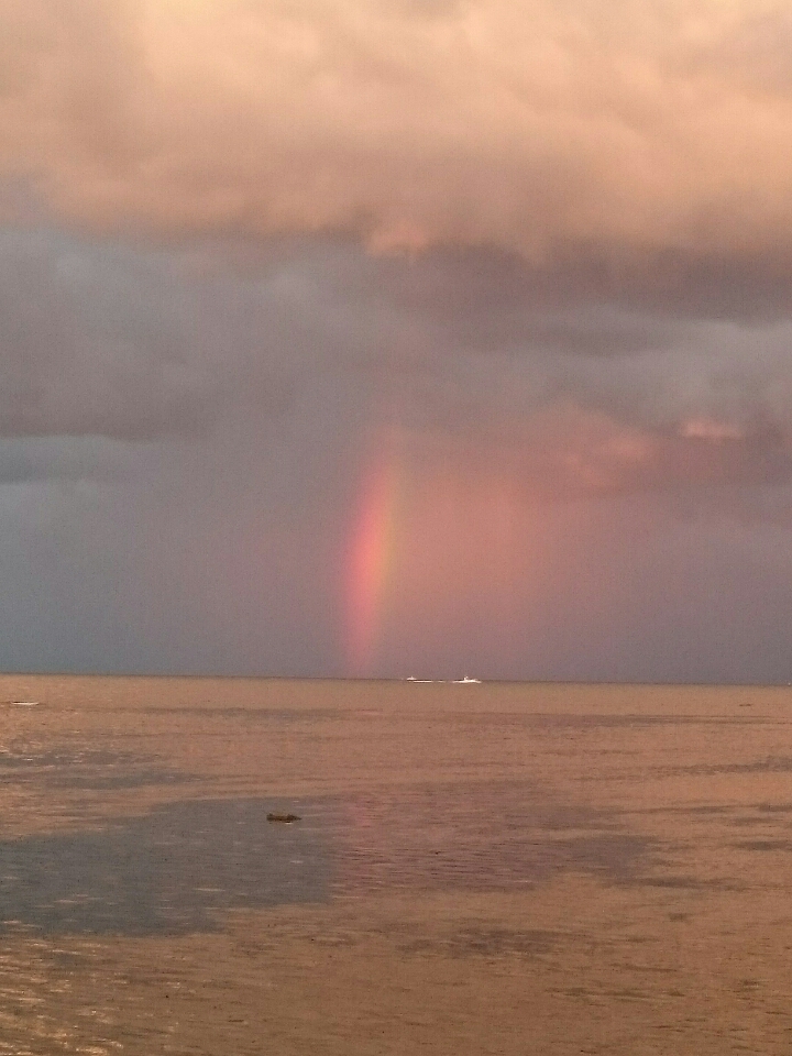 o0720096013799892771