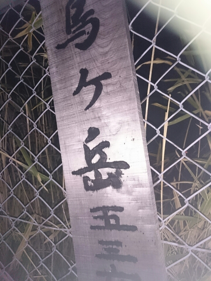 o0720096013839683231
