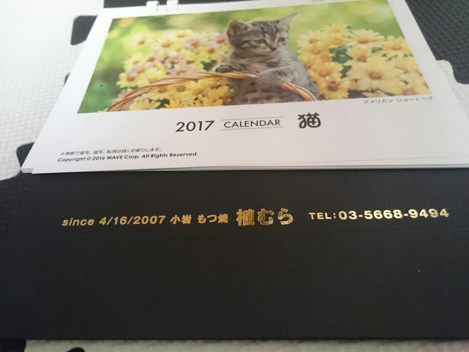 o0960072013850339609