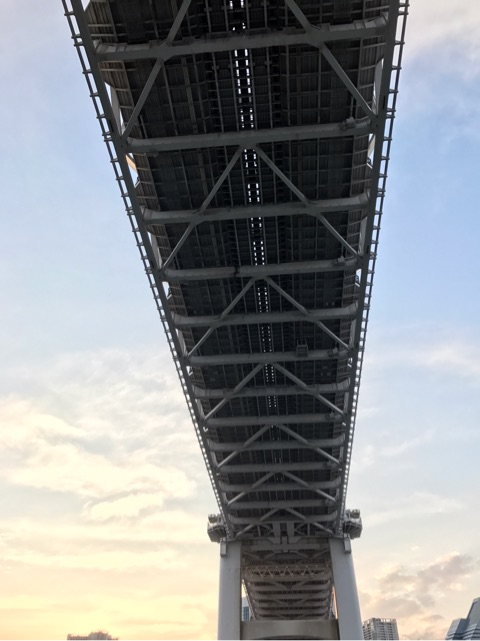 o0480064113918834775