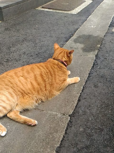 20170614_161911223