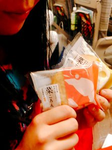 新幹線の車内にて撮影（2017年8月）