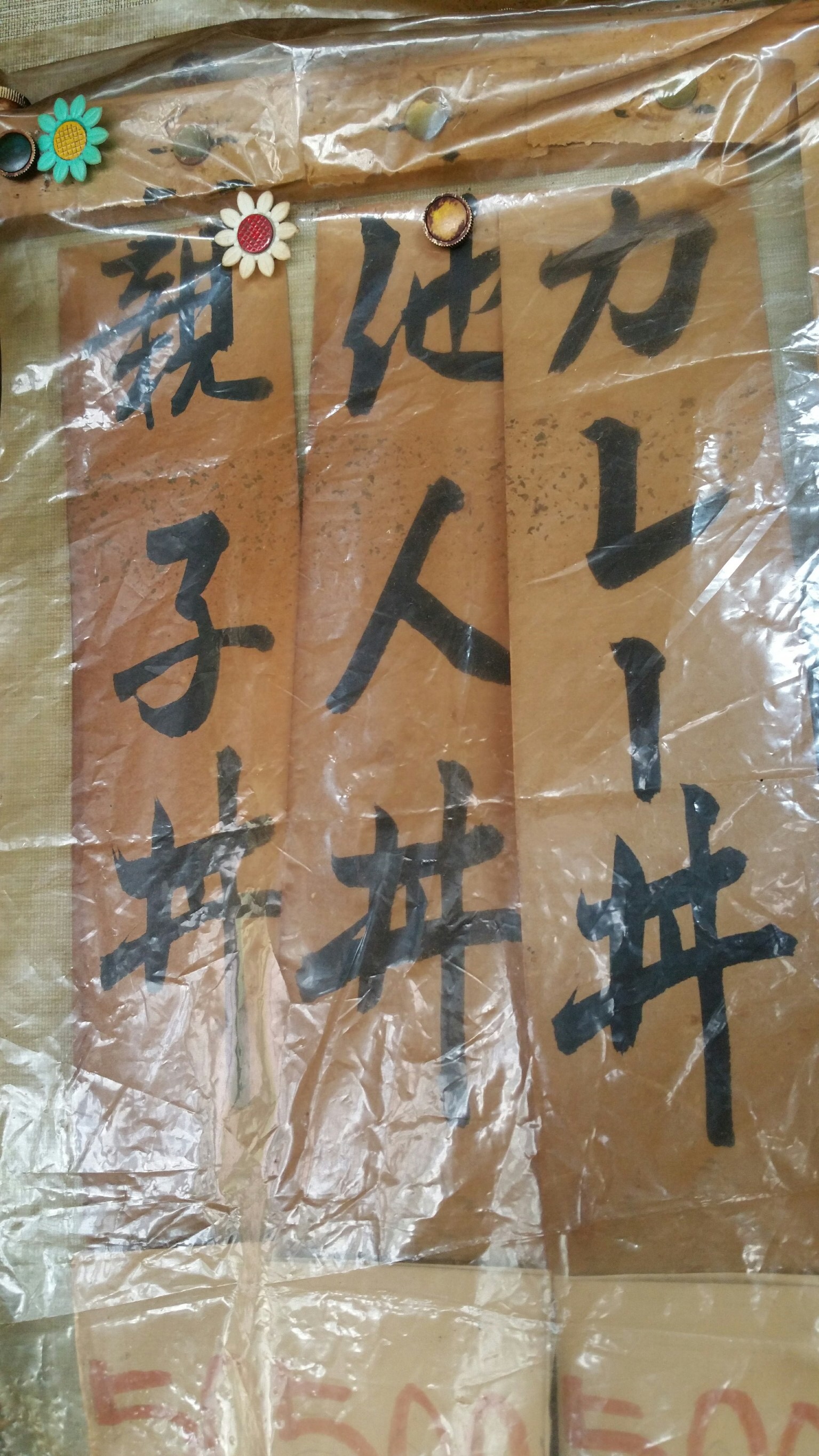 IMG-1654