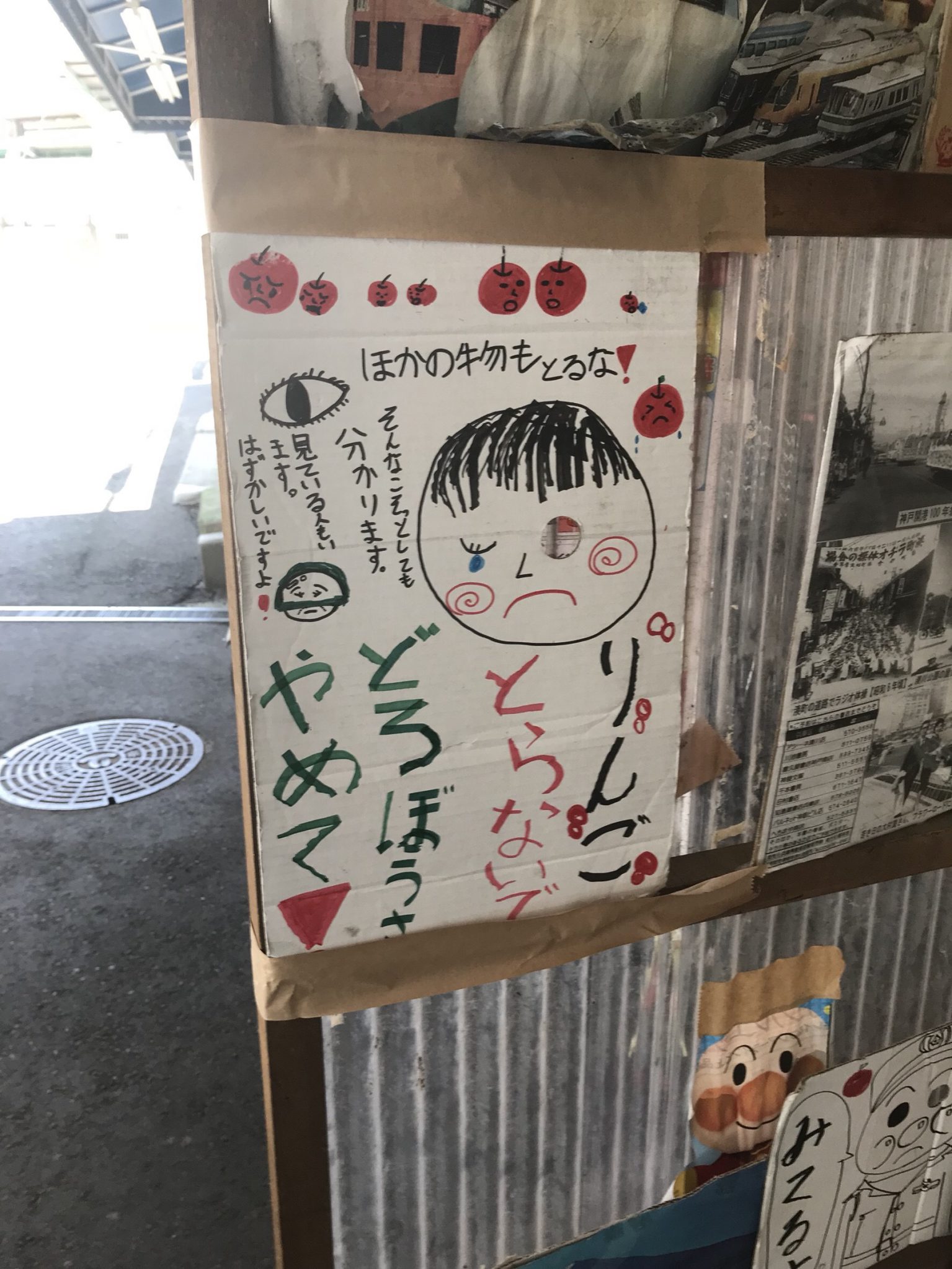 IMG-1659