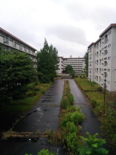 P_20180705_104606_vHDR_On
